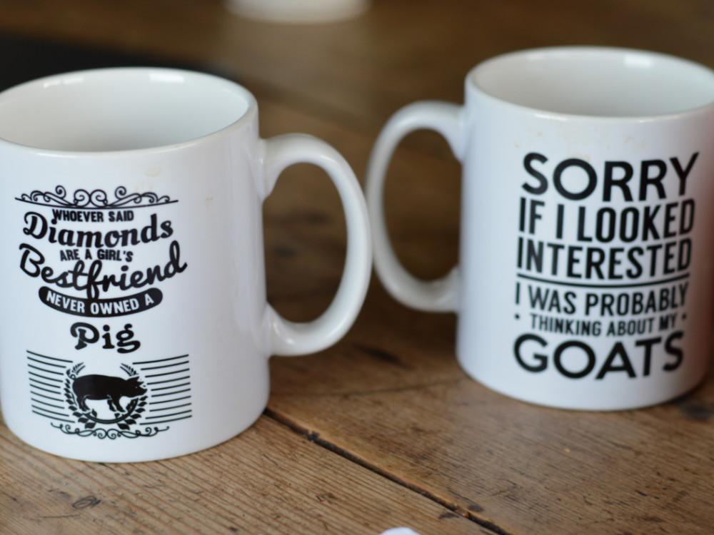 Two mugs in the Puffin Croft kitchen. The first says "Whoever said diamonds are a girls best friend never owned a pig" and the second says "Sorry if i looked interested I was probably thinking about my goats"